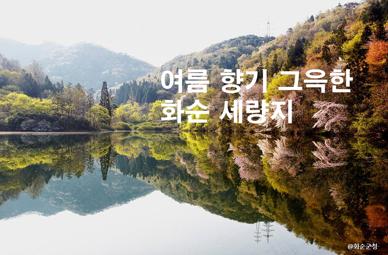 제목
