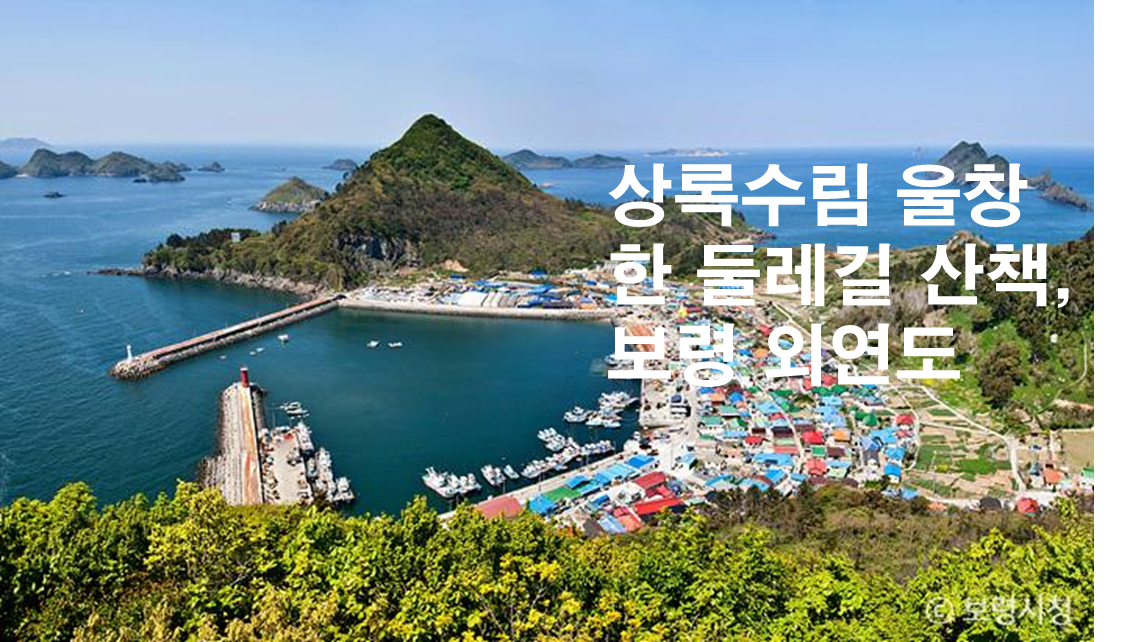 제목