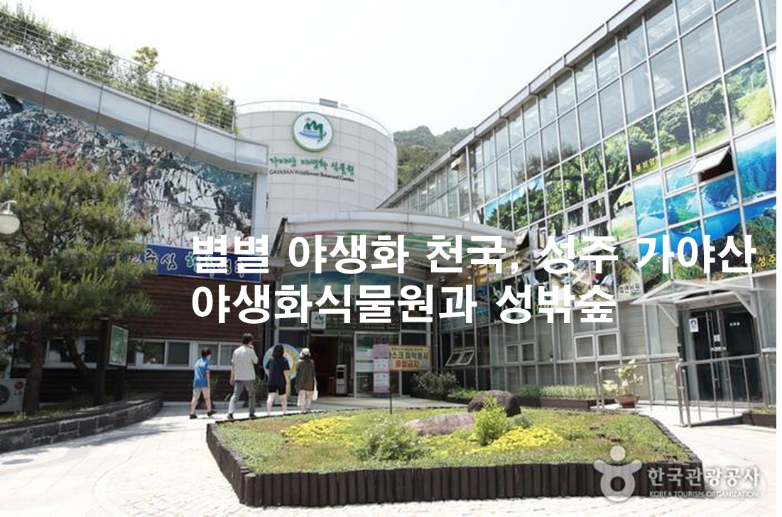 제목
