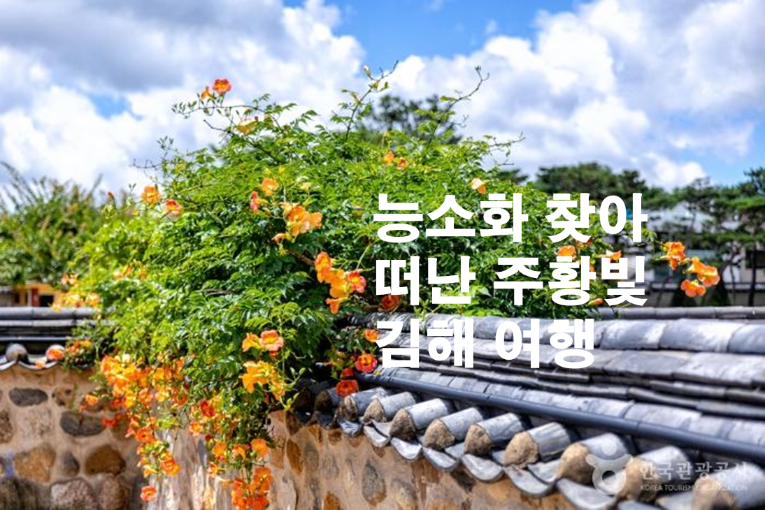 제목