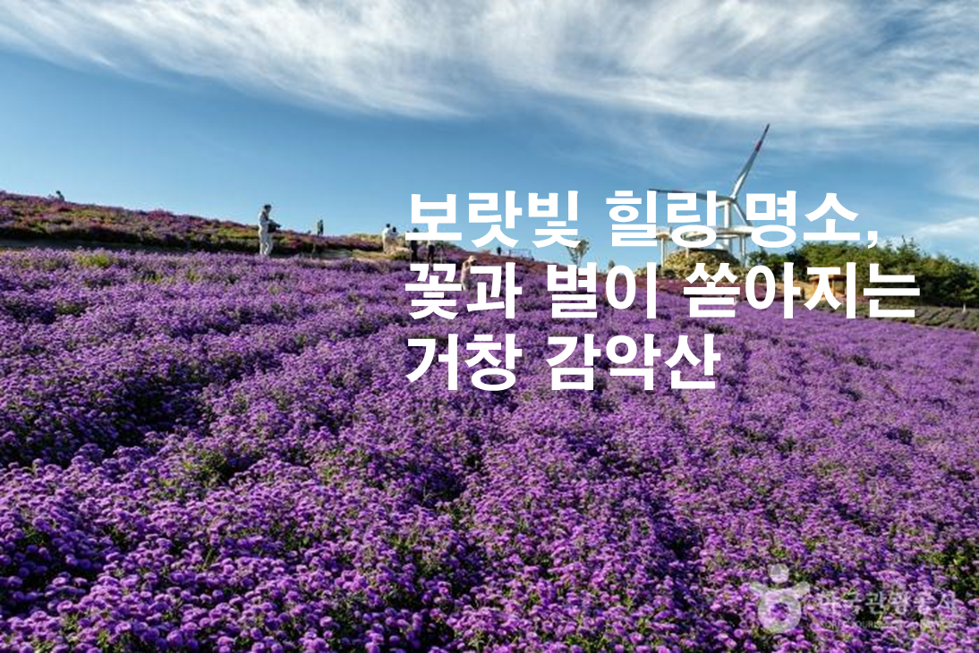 제목