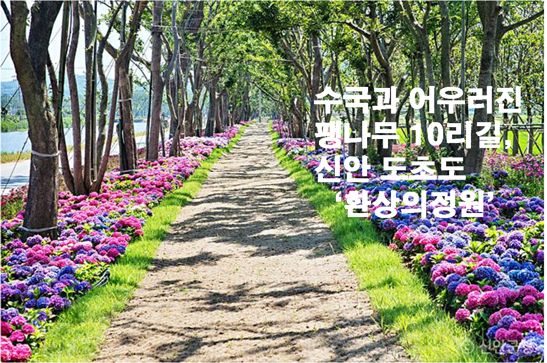 제목