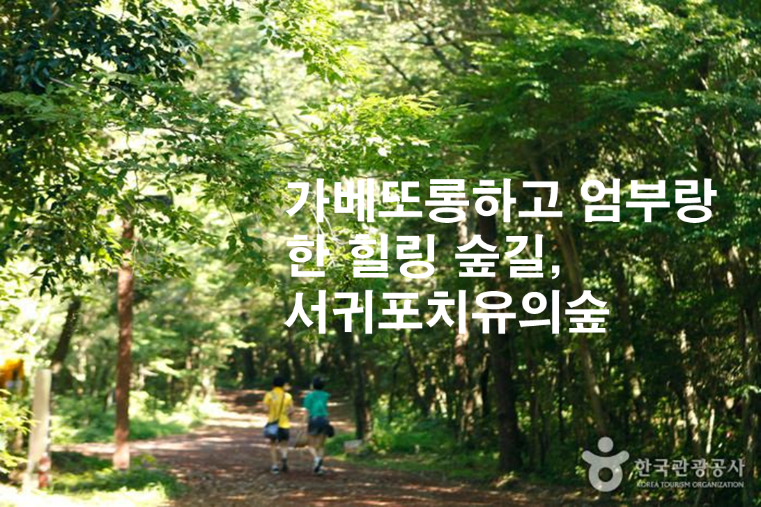 제목