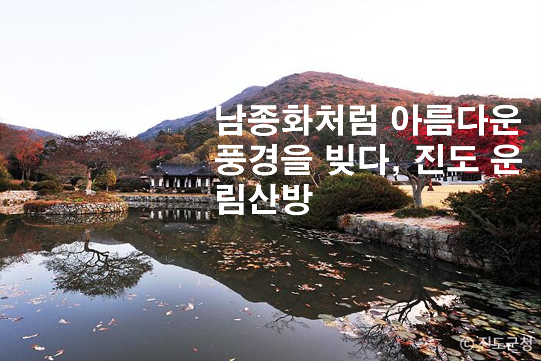 제목