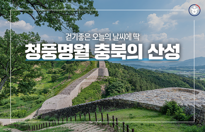 제목